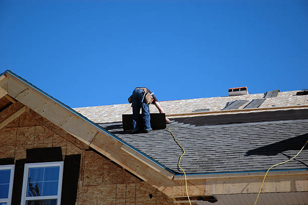 Best Solar Panel Roofing Installation  in Olivia, MN